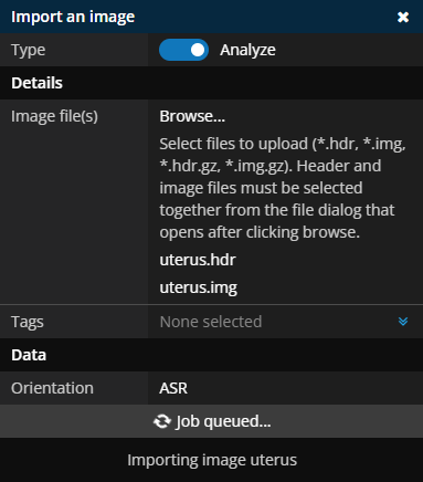 Import image panel populated with Analyze image details