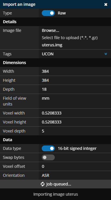 Import image panel populated with raw image details